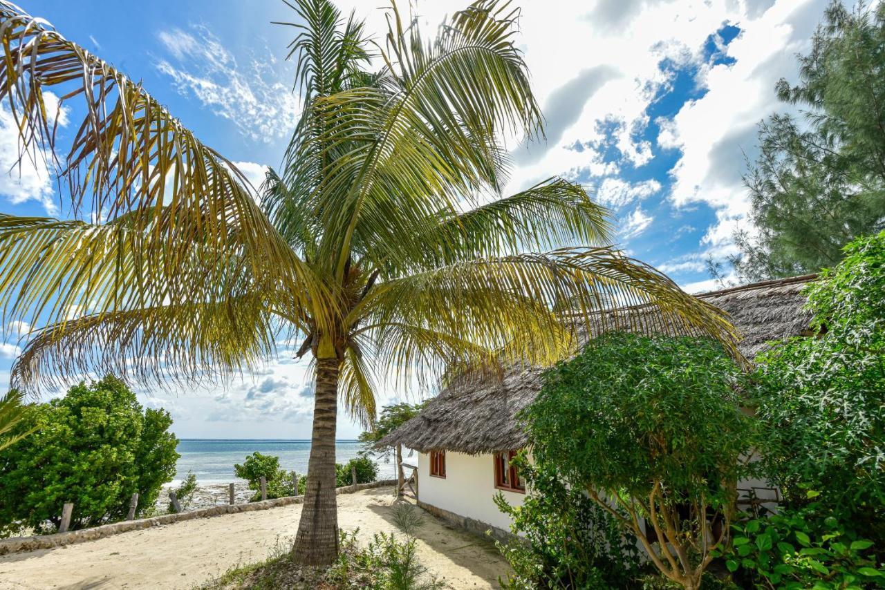 Afya Village At The Sea Michamvi Exteriör bild