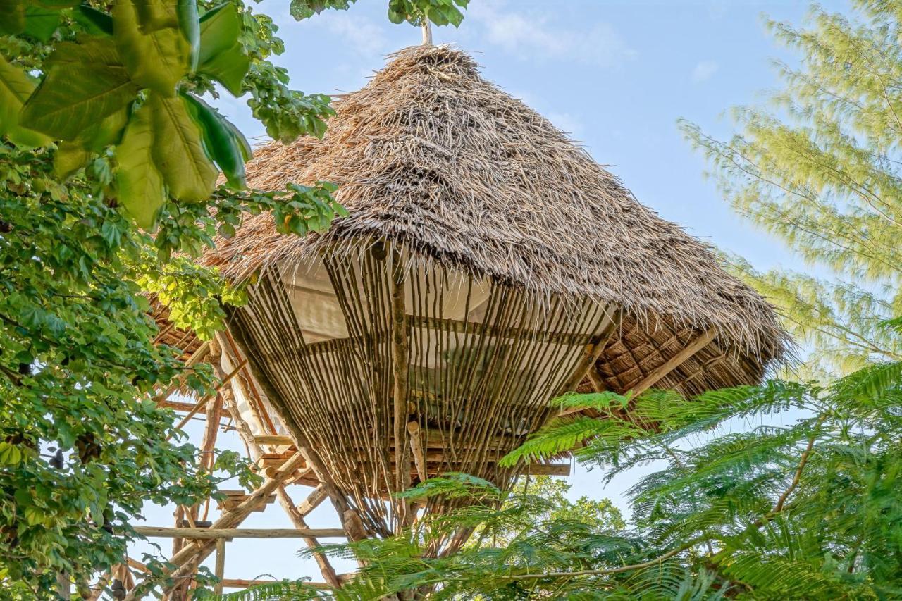 Afya Village At The Sea Michamvi Exteriör bild