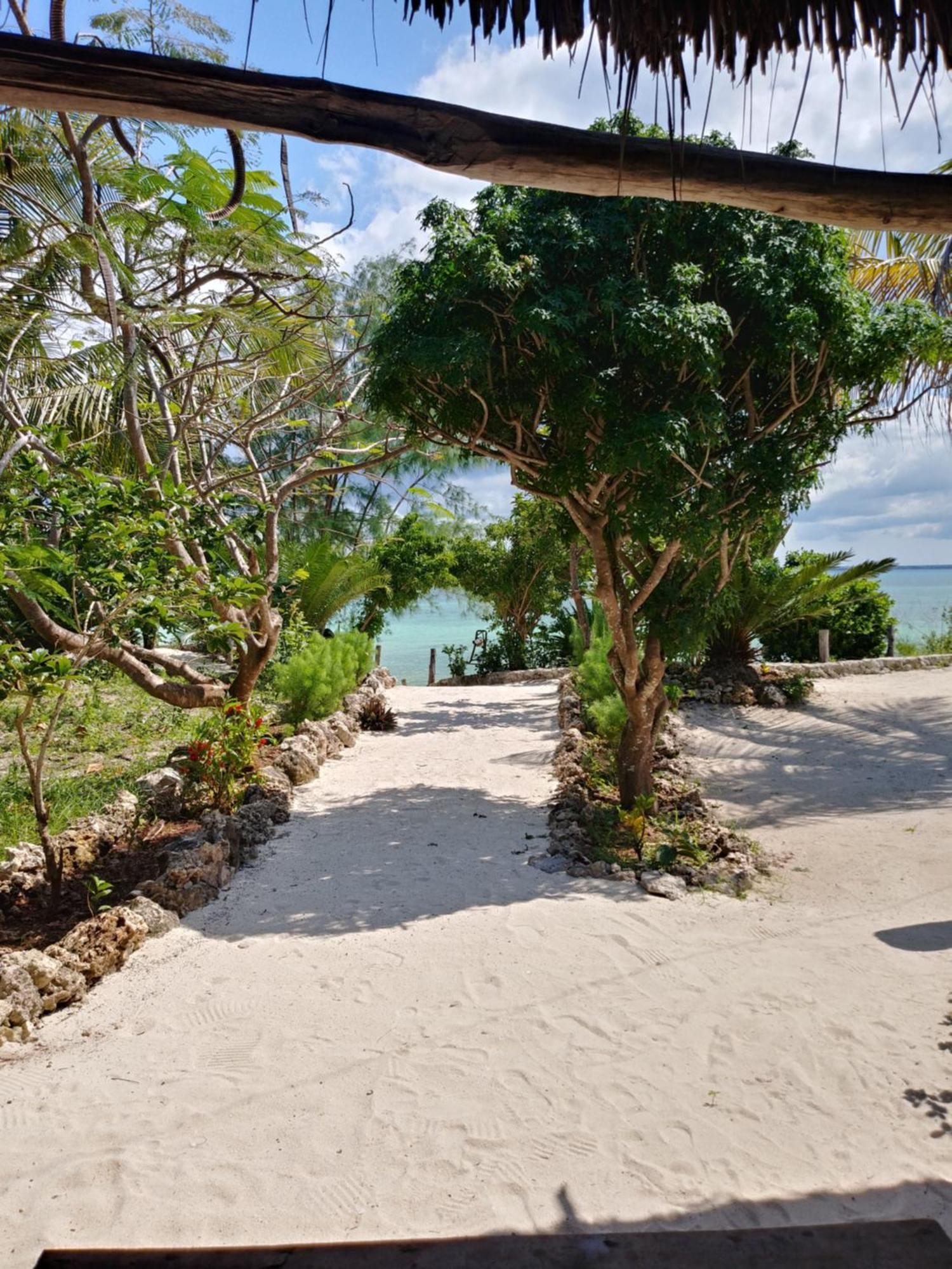 Afya Village At The Sea Michamvi Rum bild