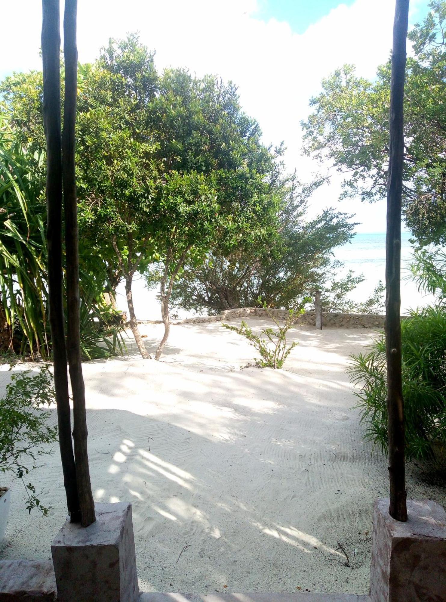 Afya Village At The Sea Michamvi Rum bild